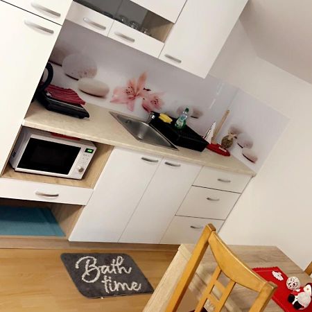 ליוטומר Apartments And Wellness Scavnicar מראה חיצוני תמונה