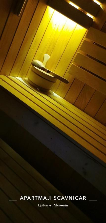ליוטומר Apartments And Wellness Scavnicar מראה חיצוני תמונה