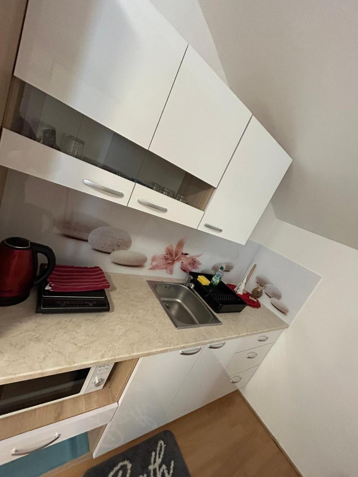 ליוטומר Apartments And Wellness Scavnicar מראה חיצוני תמונה